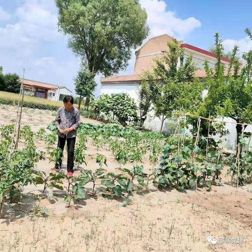 朱子文儿媳爆料婆婆视频,视频曝光惊人内幕 第2张 朱子文儿媳爆料婆婆视频,视频曝光惊人内幕 第2张